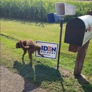 Meet your Posher, Jim